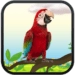 Talking Parrot Икона на приложението за Android APK