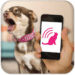 Dog Teaser Android app icon APK