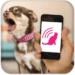 Dog Teaser Ikona aplikacji na Androida APK