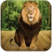 Talking Lion Android-alkalmazás ikonra APK