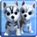 Talking Husky Dog Android-alkalmazás ikonra APK