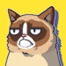 Ikon aplikasi Android Grumpy Cat APK