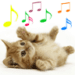 Ikona aplikace Meowing cat sounds pro Android APK