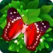Flutter app icon APK