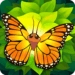 Flutter Android app icon APK