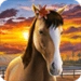 My Horse Android-alkalmazás ikonra APK