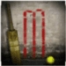 Street Cricket Free Android-app-pictogram APK