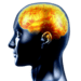 Ikona aplikace Brain Training pro Android APK