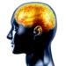 Brain Training Android-sovelluskuvake APK