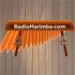 Radio Marimba HD app icon APK