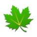 Greenify Icono de la aplicación Android APK