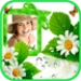 Flowers for instagram Android app icon APK