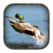 Duck Hunting Calls Икона на приложението за Android APK