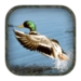 Duck Hunting Calls app icon APK