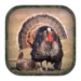 Turkey Hunting Calls ícone do aplicativo Android APK