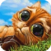 Indy Cat app icon APK