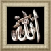 Allah 3D Live Wallpaper Android-sovelluskuvake APK