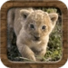 Animal Sounds Android-sovelluskuvake APK