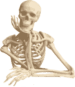 com.quiztouch.esqueleto Icono de la aplicación Android APK