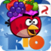 Icône de l'application Android Angry Birds APK