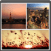 PhotoPhase Android uygulama simgesi APK