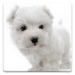 Dog Wallpapers! Икона на приложението за Android APK