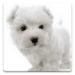 Dog Wallpapers! Android-appikon APK