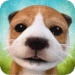 Икона апликације за Андроид DogSimulator APK