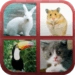 Animals Quiz Икона на приложението за Android APK