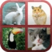 Ikon aplikasi Android Animals Quiz APK