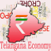Icona dell'app Android TS ECONOMY APK