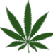 Virtual Weed Smoking FREE Икона на приложението за Android APK