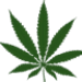 Virtual Weed Smoking FREE Android app icon APK