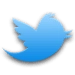 Twitter Android app icon APK