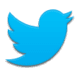 Twitter Android app icon APK