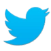 Twitter Android app icon APK