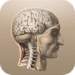 Икона апликације за Андроид Anatomie APK