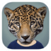 Animal Face ícone do aplicativo Android APK