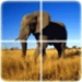 Icône de l'application Android Animal Puzzle APK