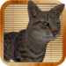 Kitty Cat Sim Android-appikon APK