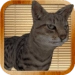 Kitty Cat Sim icon ng Android app APK