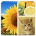PhotoCollage Android-app-pictogram APK