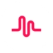 Icona dell'app Android musical.ly APK