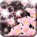 Flores de cerezo místicas Icono de la aplicación Android APK