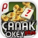 Canak Okey Plus Android-app-pictogram APK