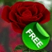 3D Rose Live Wallpaper Free Android-appikon APK