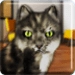 Talking Cat Funny Android-sovelluskuvake APK