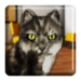 Talking Cat Funny Android-sovelluskuvake APK