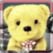 Talking Bear Plush ícone do aplicativo Android APK