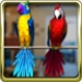 Talking Parrot Couple Free icon ng Android app APK